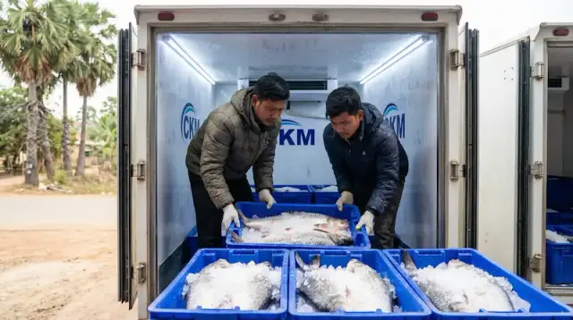 ស្តង់ដារគុណភាព និងការរក្សាសាច់ស្រស់